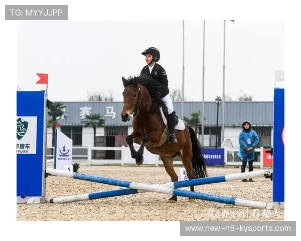 关键马术跨栏组合调整背后策略，小马跨栏