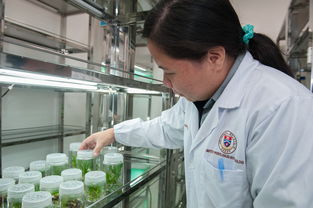 开云体育下载官网-青少年运动技能培养与行为干预研究，青少年运动技能等级测评