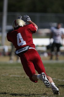 开云体育在线赛事直播-全国青少年跳水大赛首次启用AI裁判辅助，青少年跳水比赛视频  第2张