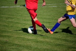 开云体育app网页版安全-中国足球国家队心理调适训练常态化开展，足球运动员的心理训练